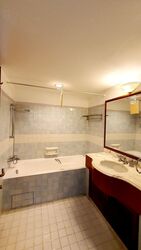Cavenagh Lodge (D9), Apartment #392661731